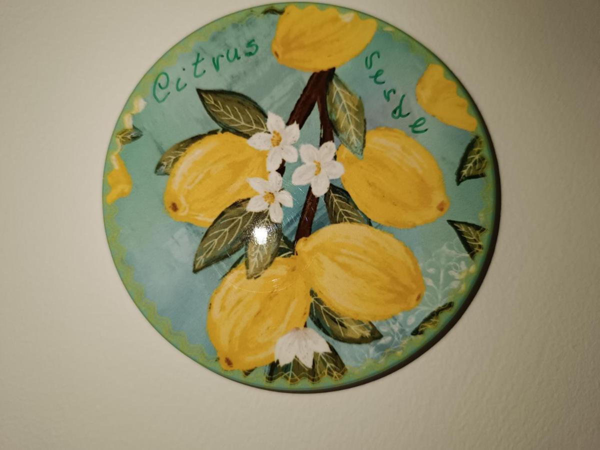 Apartment Citrus